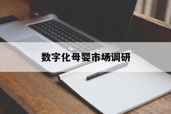 贵阳市数字化母婴市场调研(数字化母婴市场调研报告)